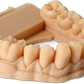 Phrozen Water-Washable Dental Model Resin Beige 1kg